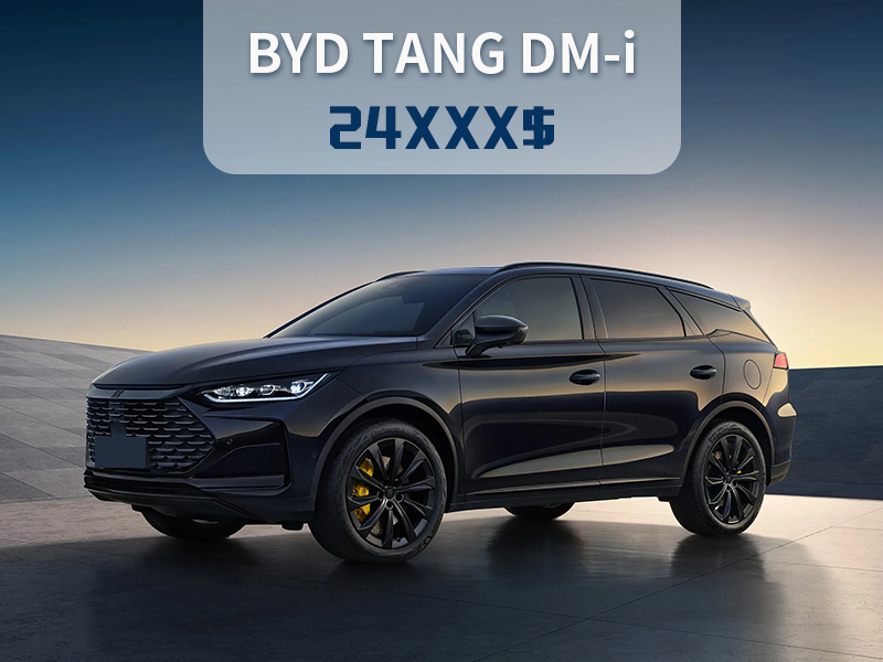 BYD TANG DM