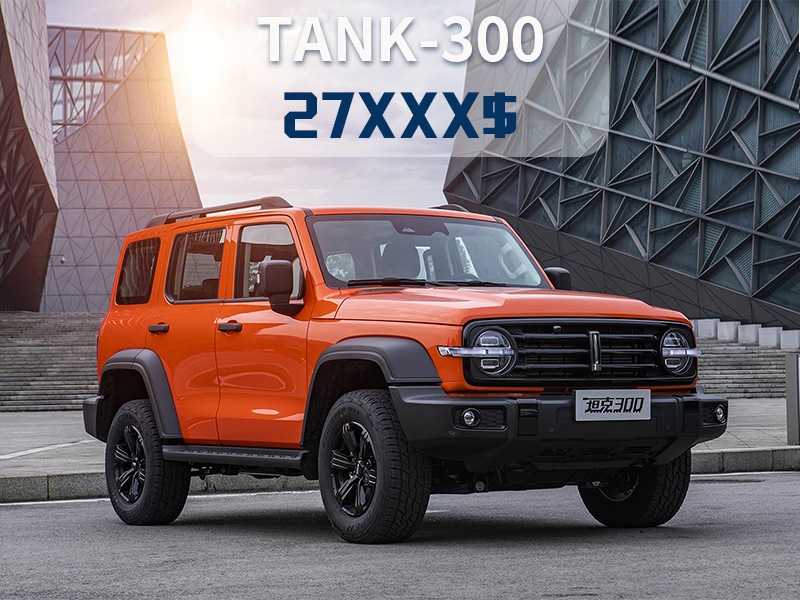 TANK 300